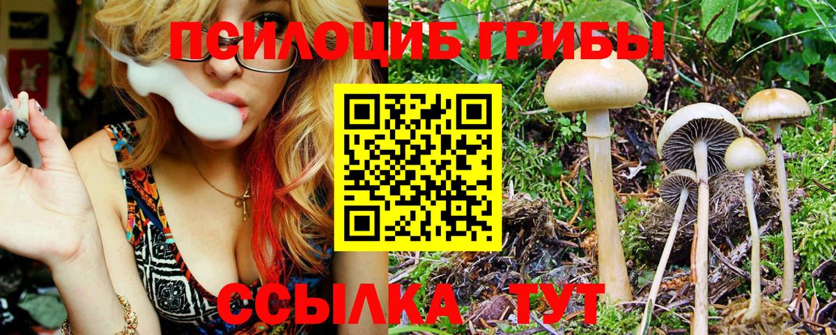 Котовск  Псилоцибиновые грибы прущие грибы  Галлюциногенные грибы мицелий  Вход с VPN 